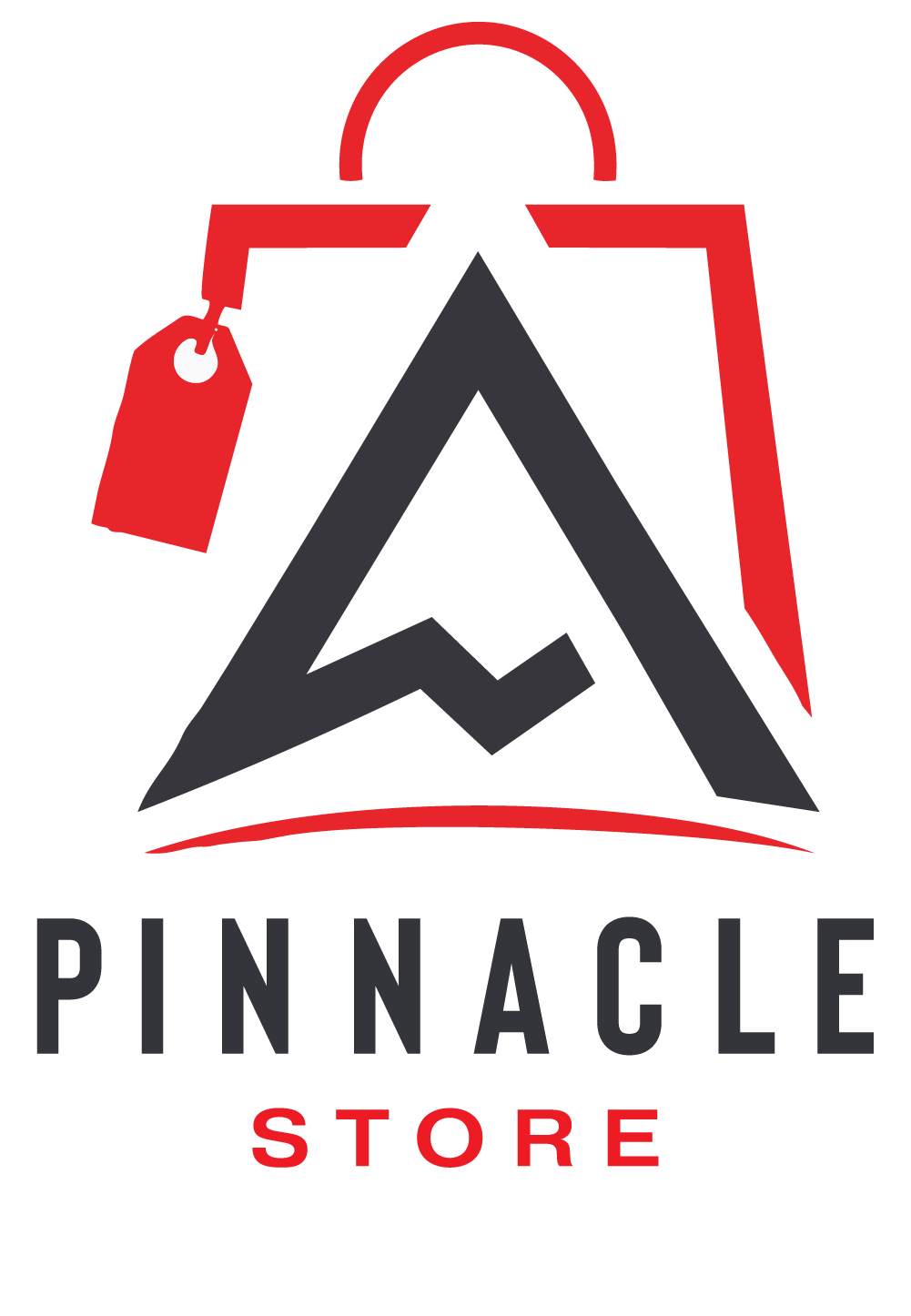 pinnacle-valuation-compass-Store-v2 Pinnacle Valuation Compass logo symbol. red circle with mountain peak icon